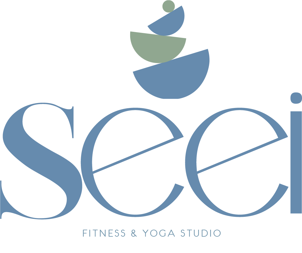 SEEI Studio